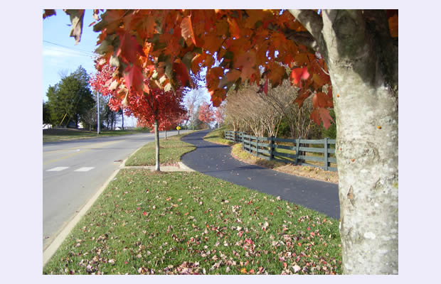 Providence Community homes for sale and real estate - Wilson County Neighborhood